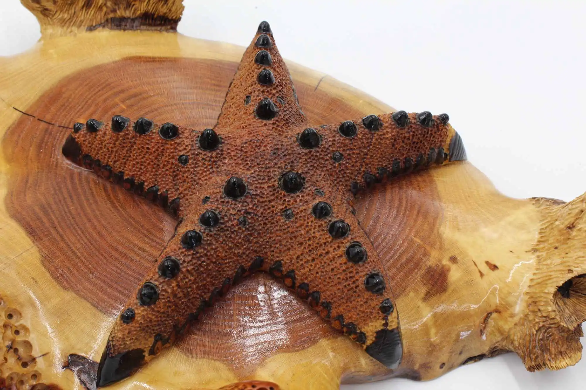 Starfish seastar woodcarving sculpture
